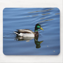 Mallard Mouse Pads