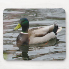 Mallard mousepad