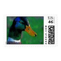 Mallard Postage Stamp by sruhs Mallard Postage Stamp
