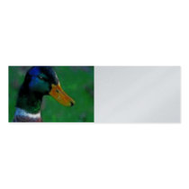 Mallard Profile Card Business Card