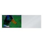 Mallard Profile Card Business Card