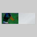 Mallard Profile Card business cards