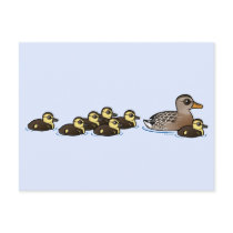 Mallard & seven ducklings postcards