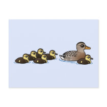 Mallard & six ducklings postcards