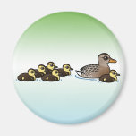Mallard & six ducklings refrigerator magnets