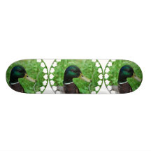 Mallard Skateboard