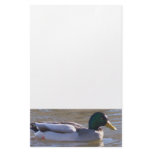 Mallard Stationery