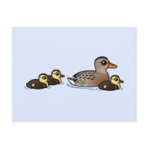 Mallard & three ducklings postcards