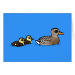 Mallard & two ducklings Note Card