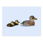 Mallard & two ducklings Postcard