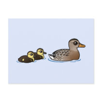 Mallard & two ducklings post cards