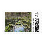 Mallards and Lilies Postage
