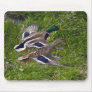 Mallards Flying Mouse Pad