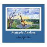 Mallards Landing Print Mallards Landing Print