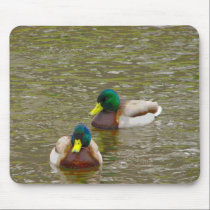 Mallards on the water mousepads