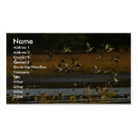 Mallards rising from water business card template