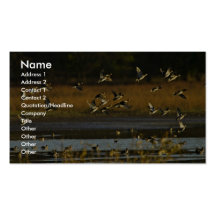 Mallards rising from water business card template