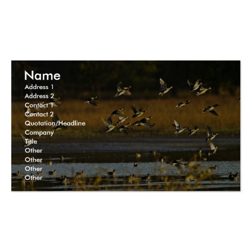Mallards rising from water business card template