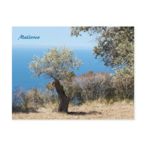 Mallorca Post Cards