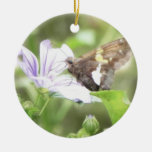 Mallow Flower and Silver-Spotted Skipper Ornaments