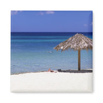 Malmok Beach, Aruba, Netherlands Antilles Magnet