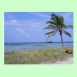 Malmok Beach in Aruba Postcard postcards