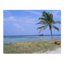 Malmok Beach in Aruba Postcard