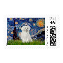 MALTESE 10 - Starry Night Stamp