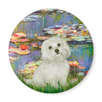 Maltese 11 - Lilies 2 Fridge Magnet