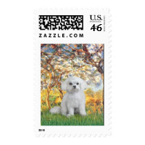 Maltese (12) - Spring Stamps