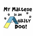 Maltesischer Beweglichkeits-Hund t-shirts by MenagerieMayhem Maltesischer Beweglichkeits-Hund t-shirts