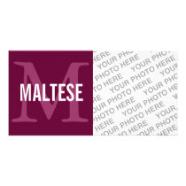Maltese Breed Monogram Design Photo Greeting Card