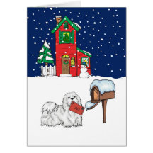 Maltese Christmas Mail Greeting Cards