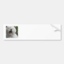 Maltese Dog Bumper Sticker