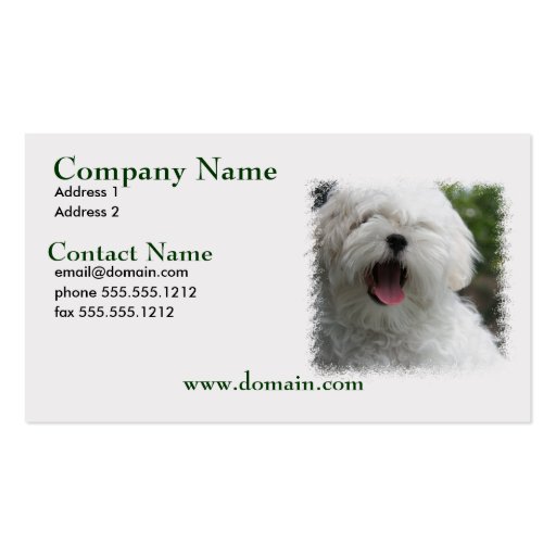 Maltese Dog Busienss Card Business Card Templates