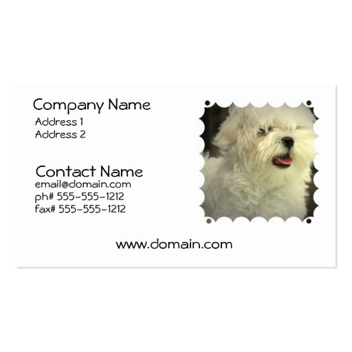 Maltese Dog Business Card (front side)