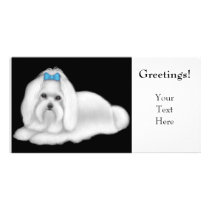 Maltese Dog Photo Card