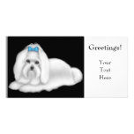 Maltese Dog Photo Card