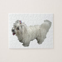 Maltese Dog Puzzle puzzles
