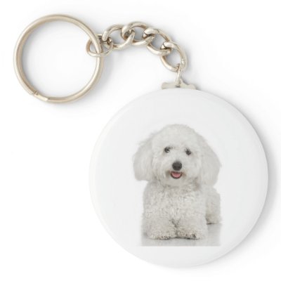 Maltese Dog White Keychains