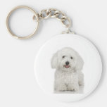 Maltese Dog White Keychains