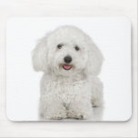 Maltese Dog White Mouse Pads