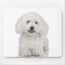 Maltese Dog White mousepads by White_Wedding Maltese Dog White mousepads