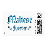 Maltese Forever postage