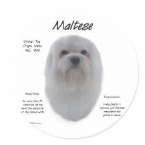 Maltese History Design Round Stickers