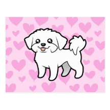 Maltese Love (puppy cut) Postcards