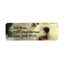 Maltese Mailing Label