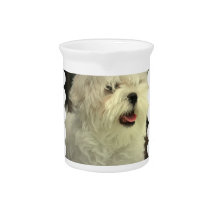 Maltese  Pitcher