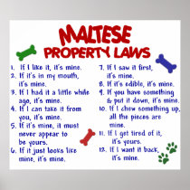 MALTESE PL2 POSTER