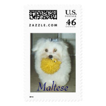 Maltese postage by barby84 Maltese postage